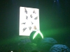 img_0841